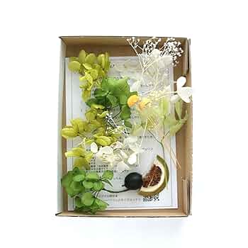 Amazon｜ハーバリウム花材セット1本分（ドライフルーツGR